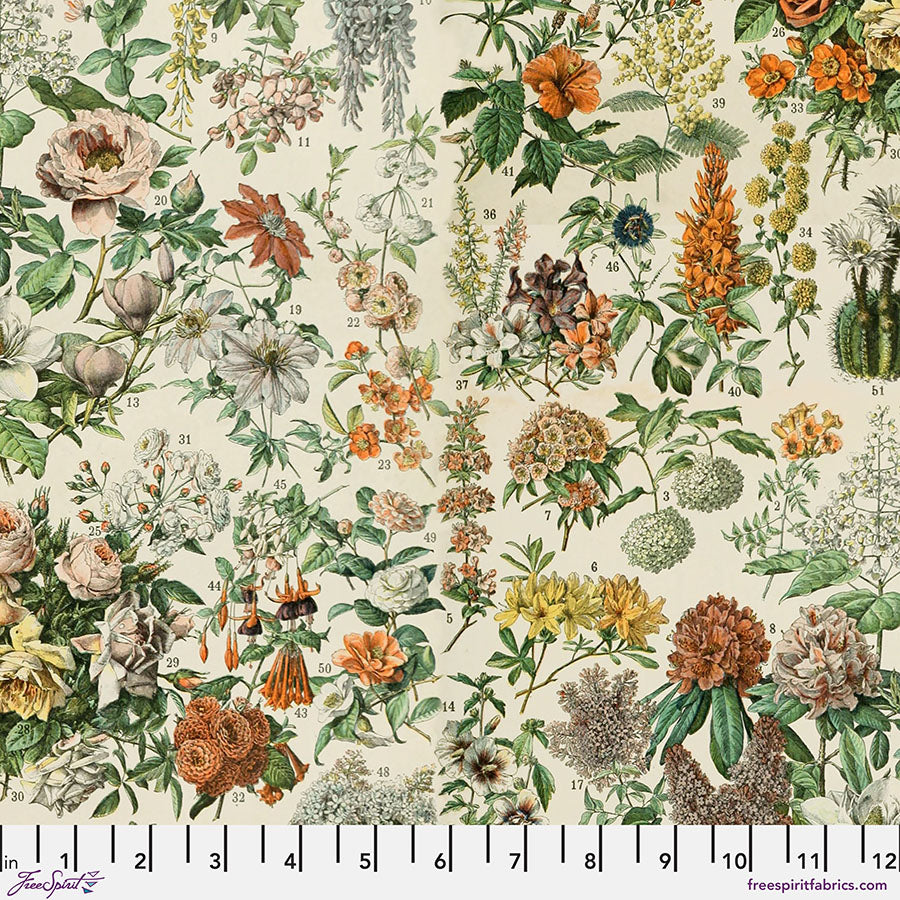 Eclectic Elements Palette Orange - Botanical PRE-ORDER SHIPS IN DECEMBER  (Half Yard Cut) by Tim Holtz with Free Spirit Fabrics