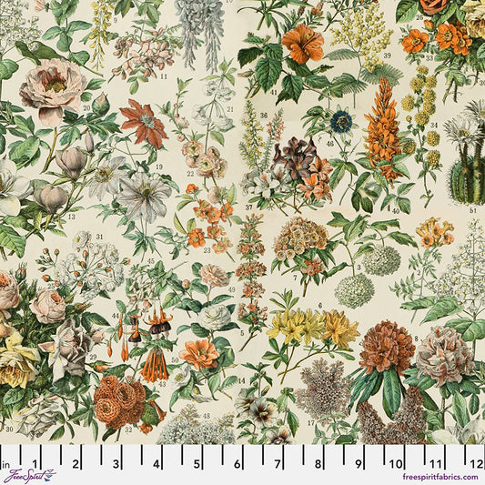 Eclectic Elements Palette Orange - Botanical PRE-ORDER SHIPS IN DECEMBER  (Half Yard Cut) by Tim Holtz with Free Spirit Fabrics